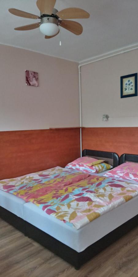 Liza Apartman Gyula Ngoại thất bức ảnh